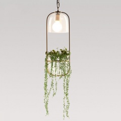 Hanging plant vase pendant light in brass